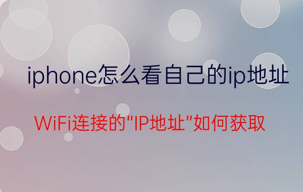 iphone怎么看自己的ip地址 WiFi连接的“IP地址”如何获取？